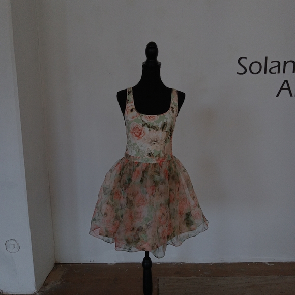 Alice + Olivia Chara flared floral-print silk-organza and jersey mini dress - Picture 9 of 9